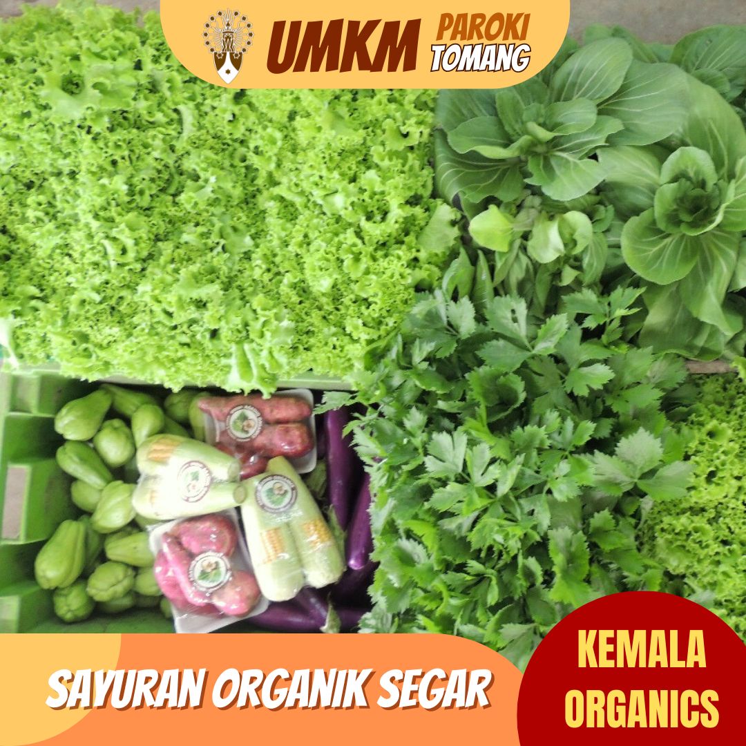 https://www.umkm.warkita.com//assets/images/product/Kemala Organics sayur