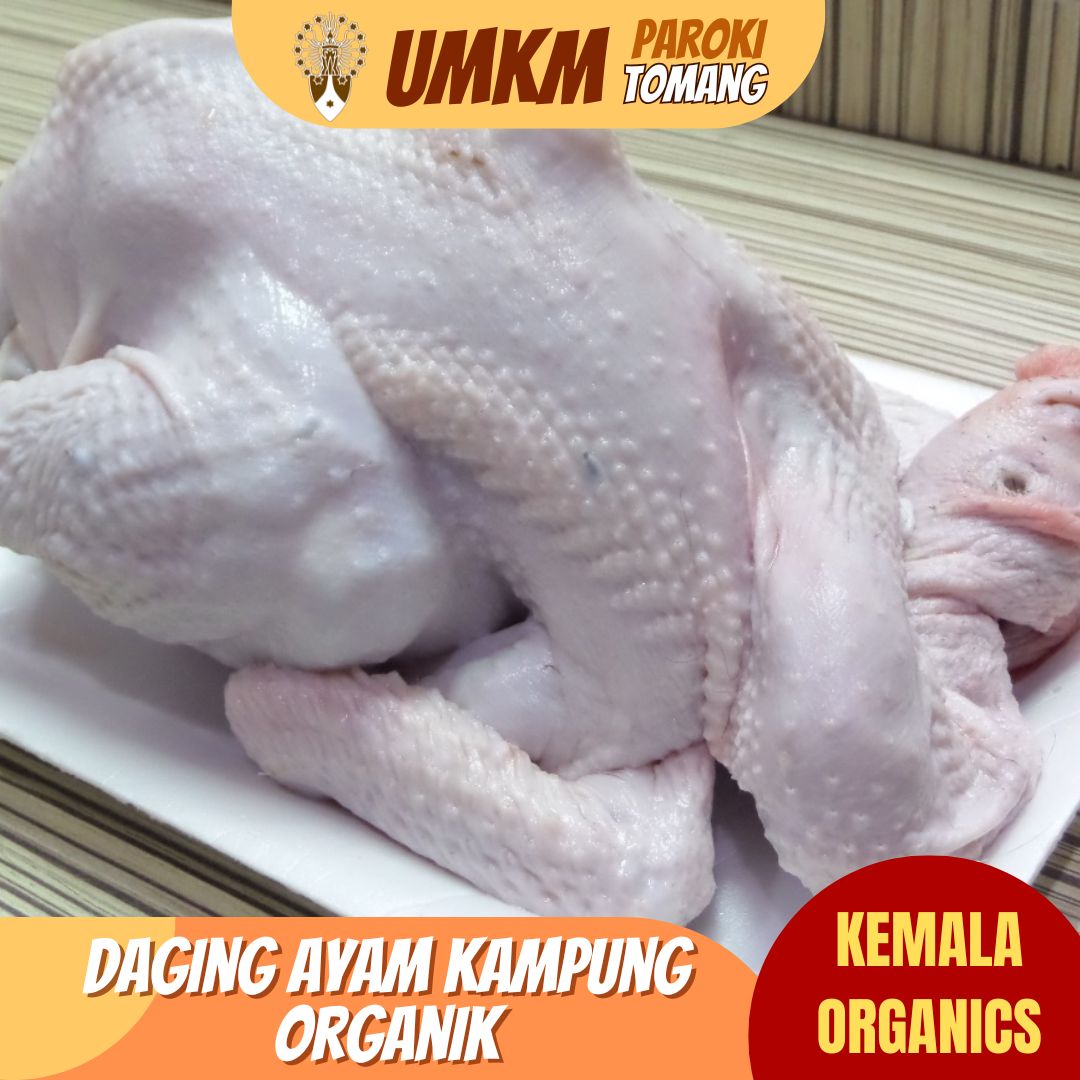 https://www.umkm.warkita.com//assets/images/product/Fillet daging ayam kampung organik
