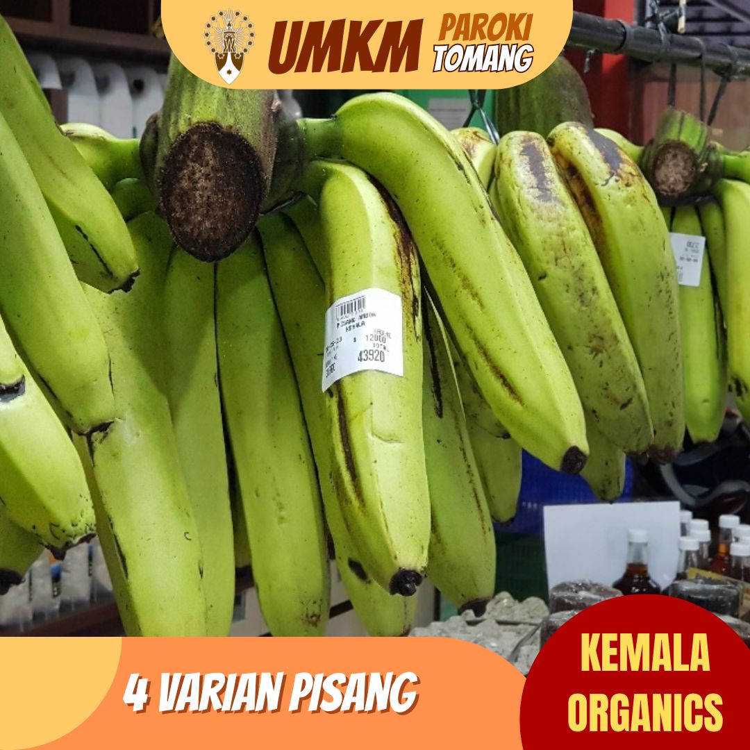 https://www.umkm.warkita.com//assets/images/product/varian pisang Kemala Organics